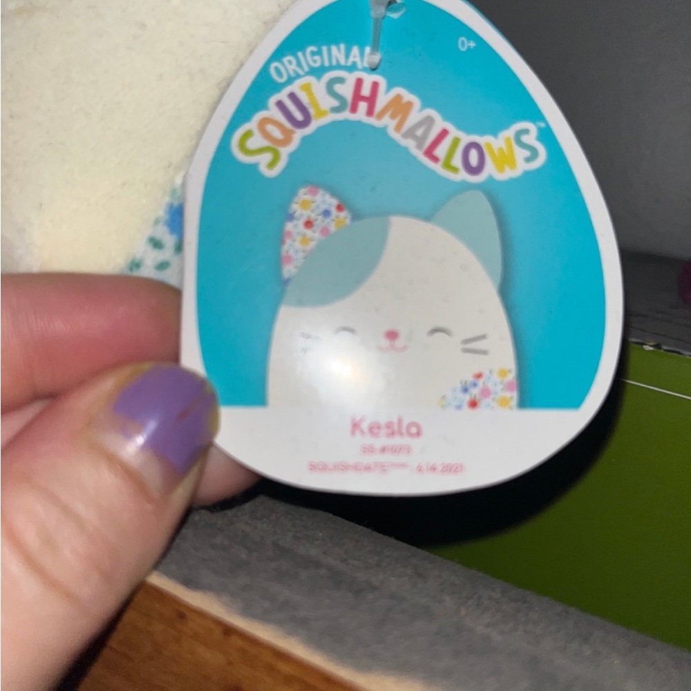 Kesla the cat Squishmallow 5” - Picture 2 of 2